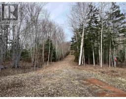 Old Mulgrave Road, Monastery, NS B0H1W0 Photo 34