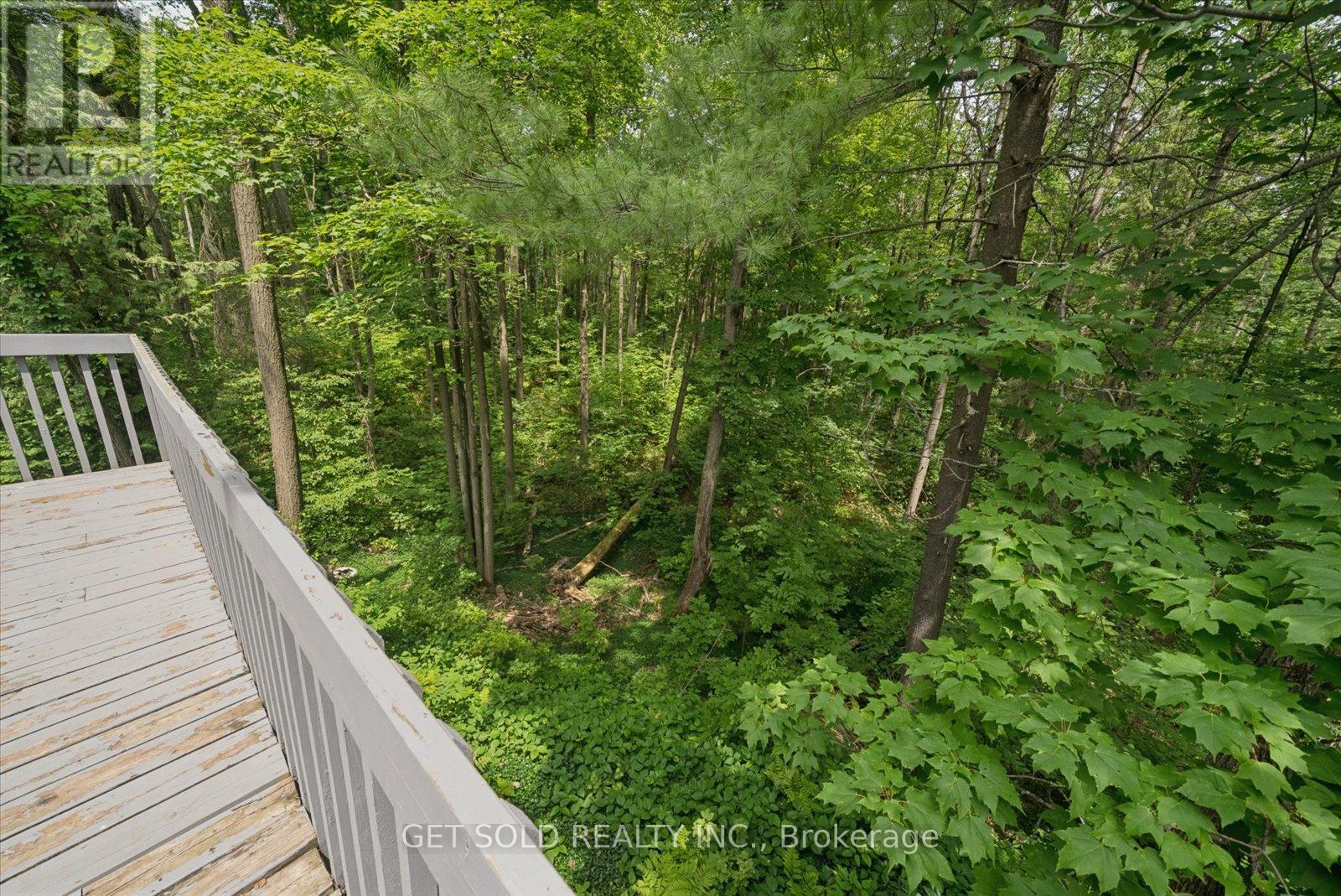 80 WHITE PINE TRAIL - 11