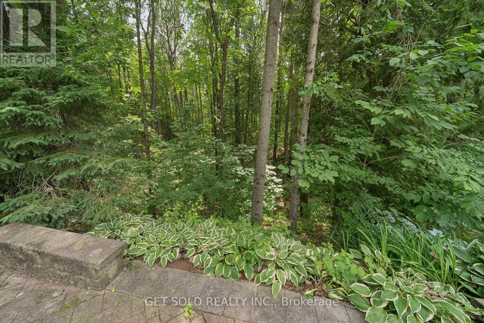 80 WHITE PINE TRAIL - 14
