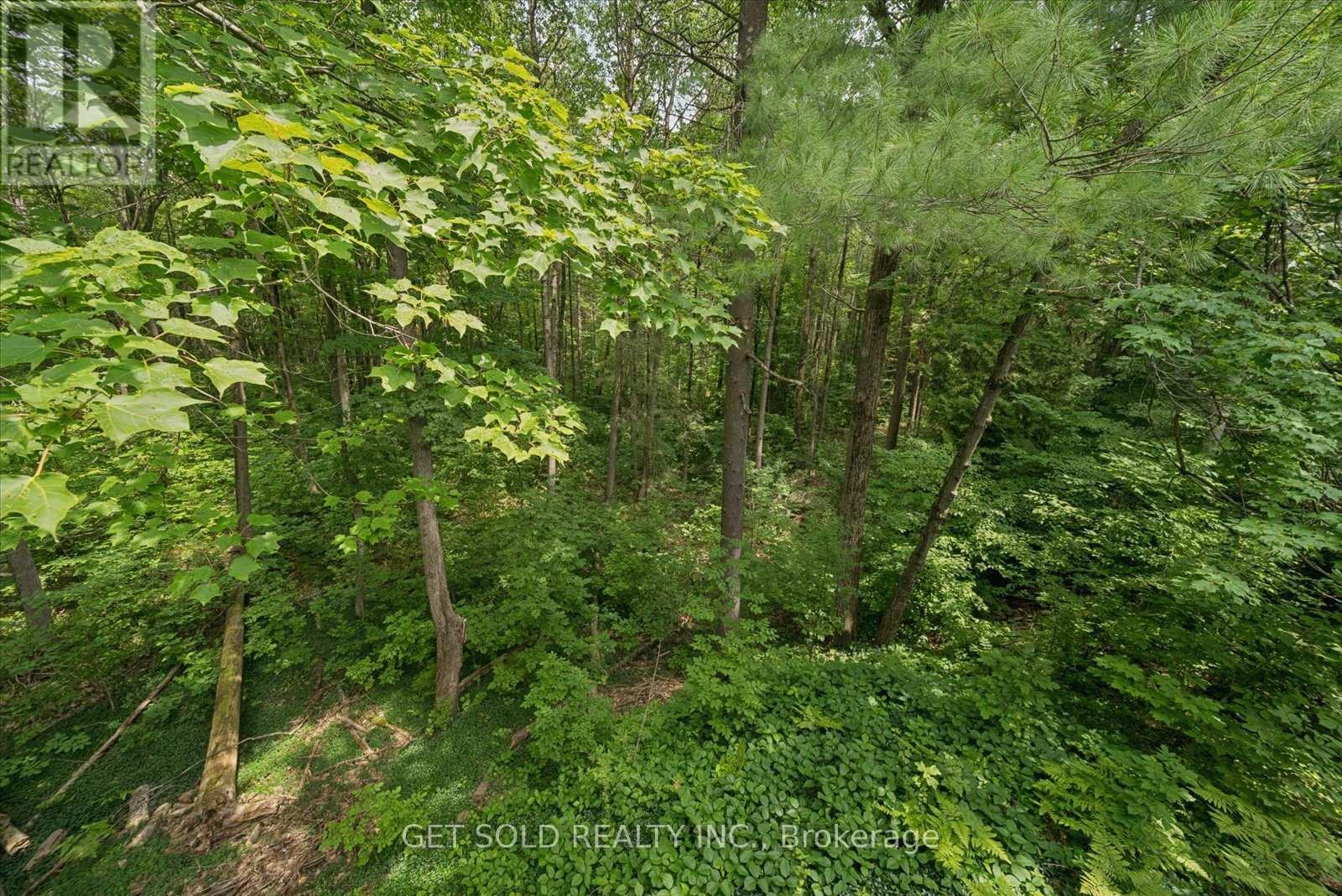 80 WHITE PINE TRAIL - 15