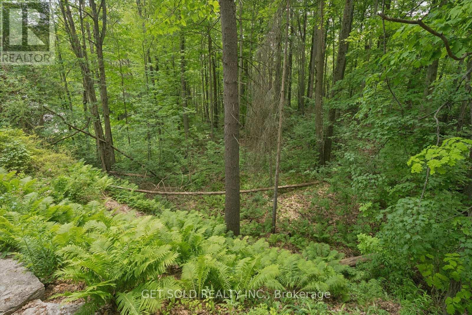 80 WHITE PINE TRAIL - 16