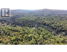 Pt Sec 37 & 38 Off Pickard Rd, Havilland, ON P0S1A0 Photo 14