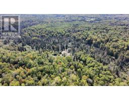 Pt Sec 37 & 38 Off Pickard Rd, Havilland, ON P0S1A0 Photo 15