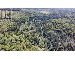 Pt Sec 37 & 38 Off Pickard Rd, Havilland, ON P0S1A0 Photo 16