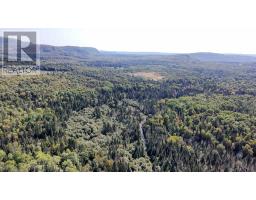Pt Sec 37 & 38 Off Pickard Rd, Havilland, ON P0S1A0 Photo 17