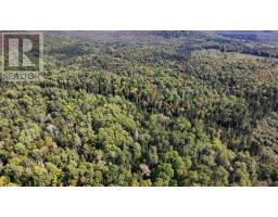 Pt Sec 37 & 38 Off Pickard Rd, Havilland, ON P0S1A0 Photo 18