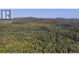 Pt Sec 37 & 38 Off Pickard Rd, Havilland, ON P0S1A0 Photo 19