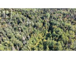 Pt Sec 37 & 38 Off Pickard Rd, Havilland, ON P0S1A0 Photo 30