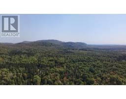 Pt Sec 37 & 38 Off Pickard Rd, Havilland, ON P0S1A0 Photo 6