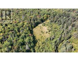 Pt Sec 37 & 38 Off Pickard Rd, Havilland, ON P0S1A0 Photo 7