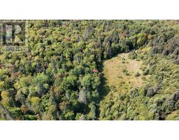Pt Sec 37 & 38 Off Pickard Rd, Havilland, ON P0S1A0 Photo 8
