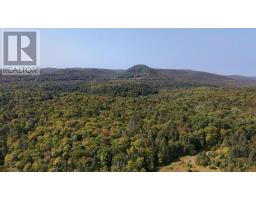 Pt Sec 37 & 38 Off Pickard Rd, Havilland, ON P0S1A0 Photo 9