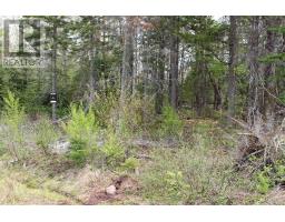 Lot 23-5 Whiskey Way, Wentworth, NS B0M1Z0 Photo 7