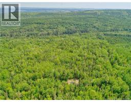 0 Alward Road, Whites Mountain, NB E4G1W2 Photo 25