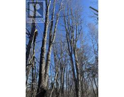 Old Halifax Road, Salt Springs, NS B0M1X0 Photo 6