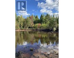 Old Halifax Road, Salt Springs, NS B0M1X0 Photo 8