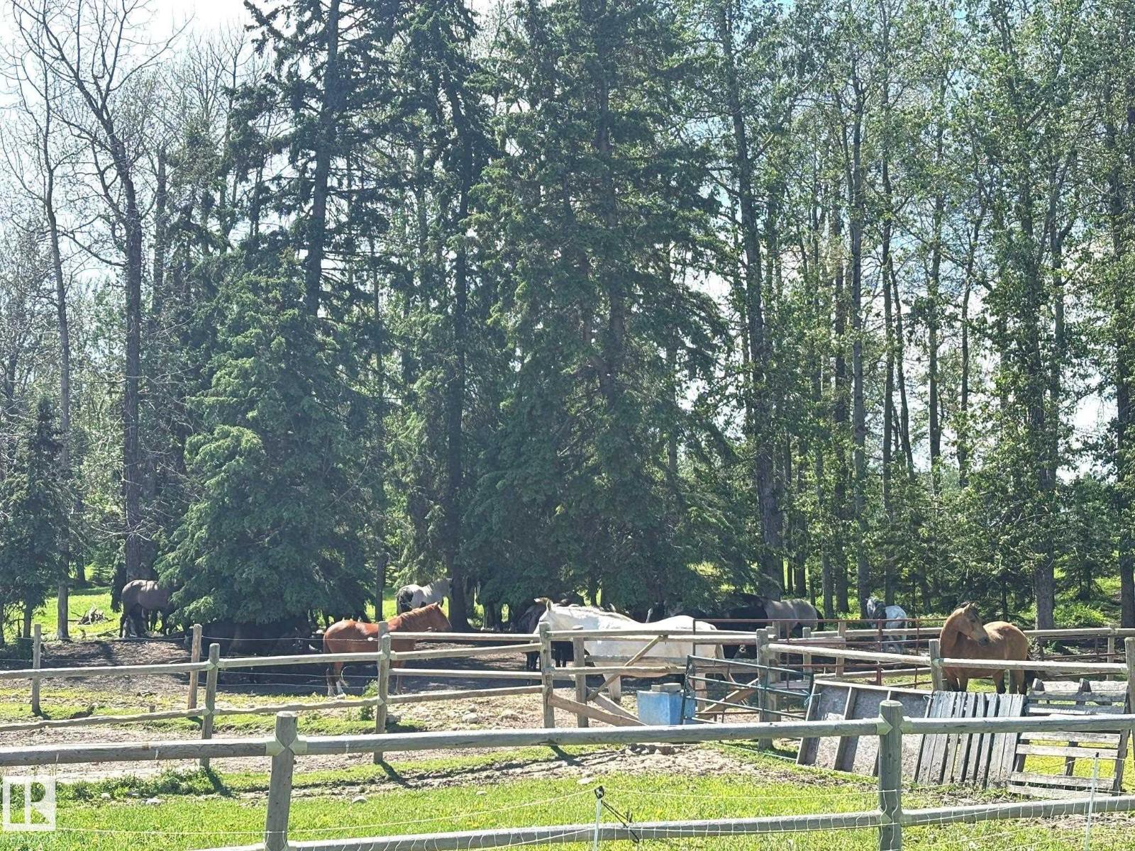 411048C Buster Creek RD - 61