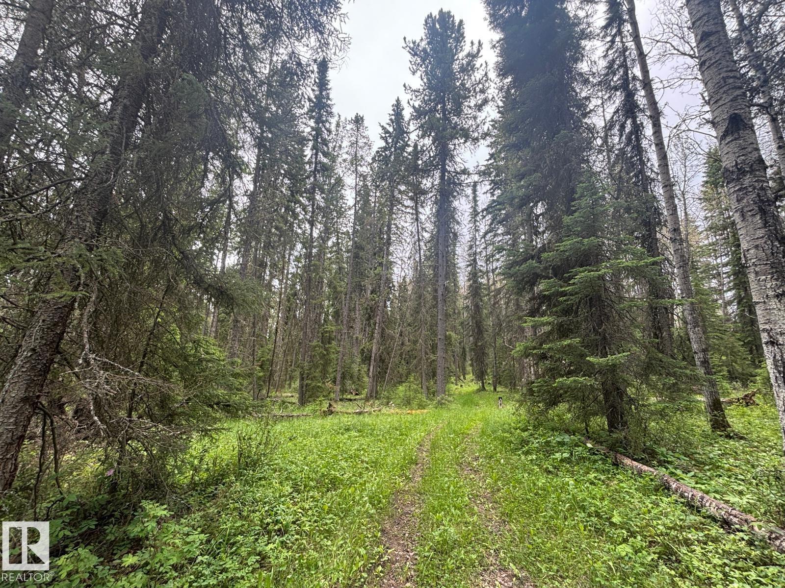 411048C Buster Creek RD - 72