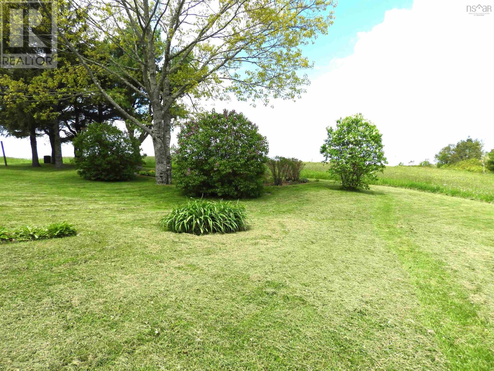 195 Lake Ramsay Road - 10