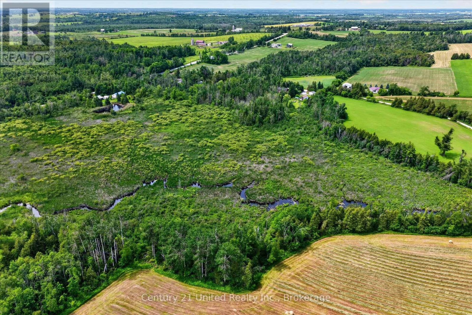 93 LOOP LINE - Image 7