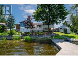 3 Cedar Drive, Trent Hills, ON K0L1Y0 Photo 41