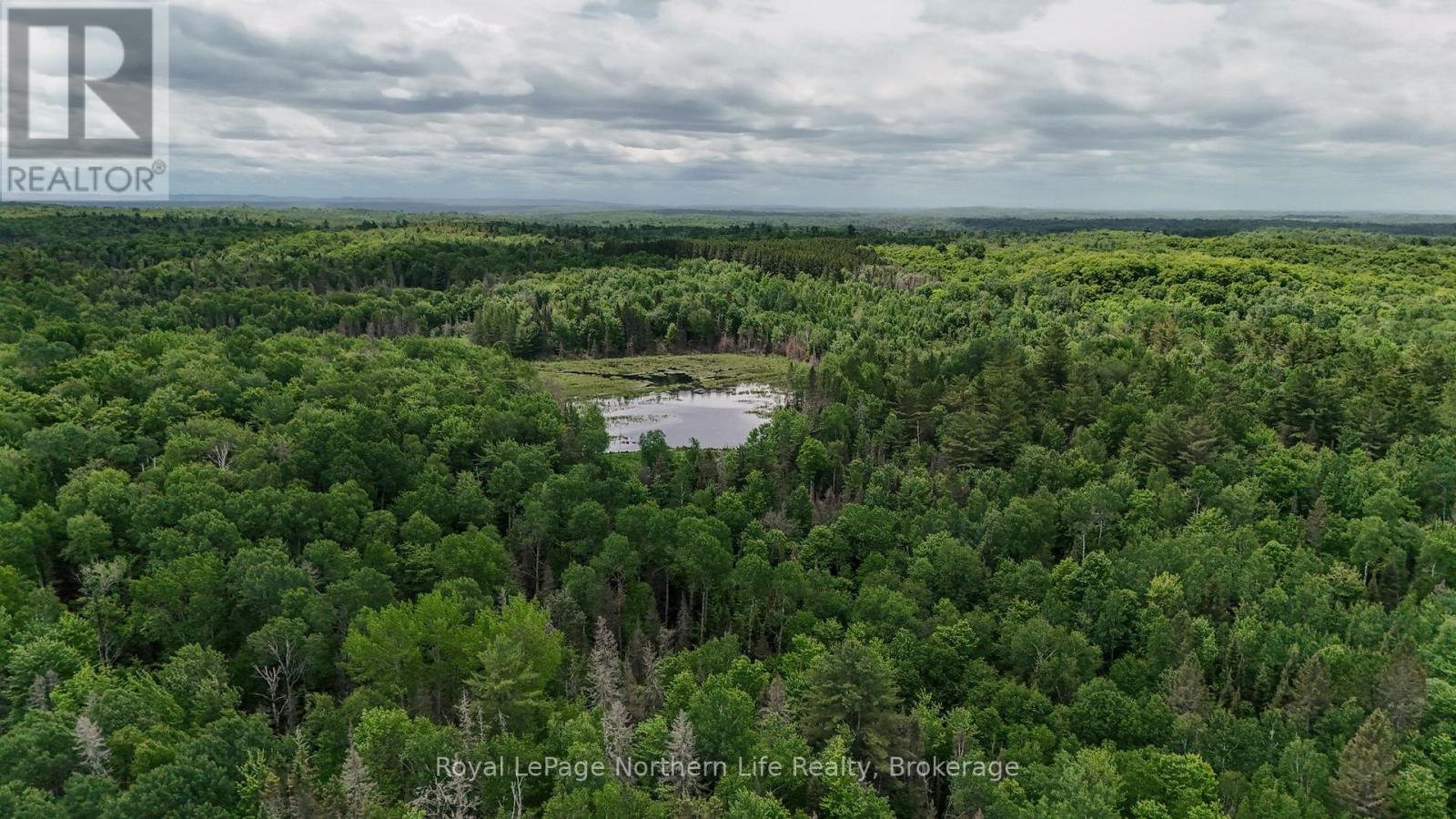 70 HIGHWAY 17 E - Image 35