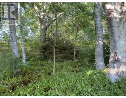 Lot (pid 70088364) Hillside Road, Brooklyn, NS B0J1H0 Photo 6