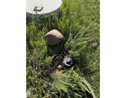 #30 15025 Twp Road 470, Rural Wetaskiwin County, AB T0C1X0 Photo 6