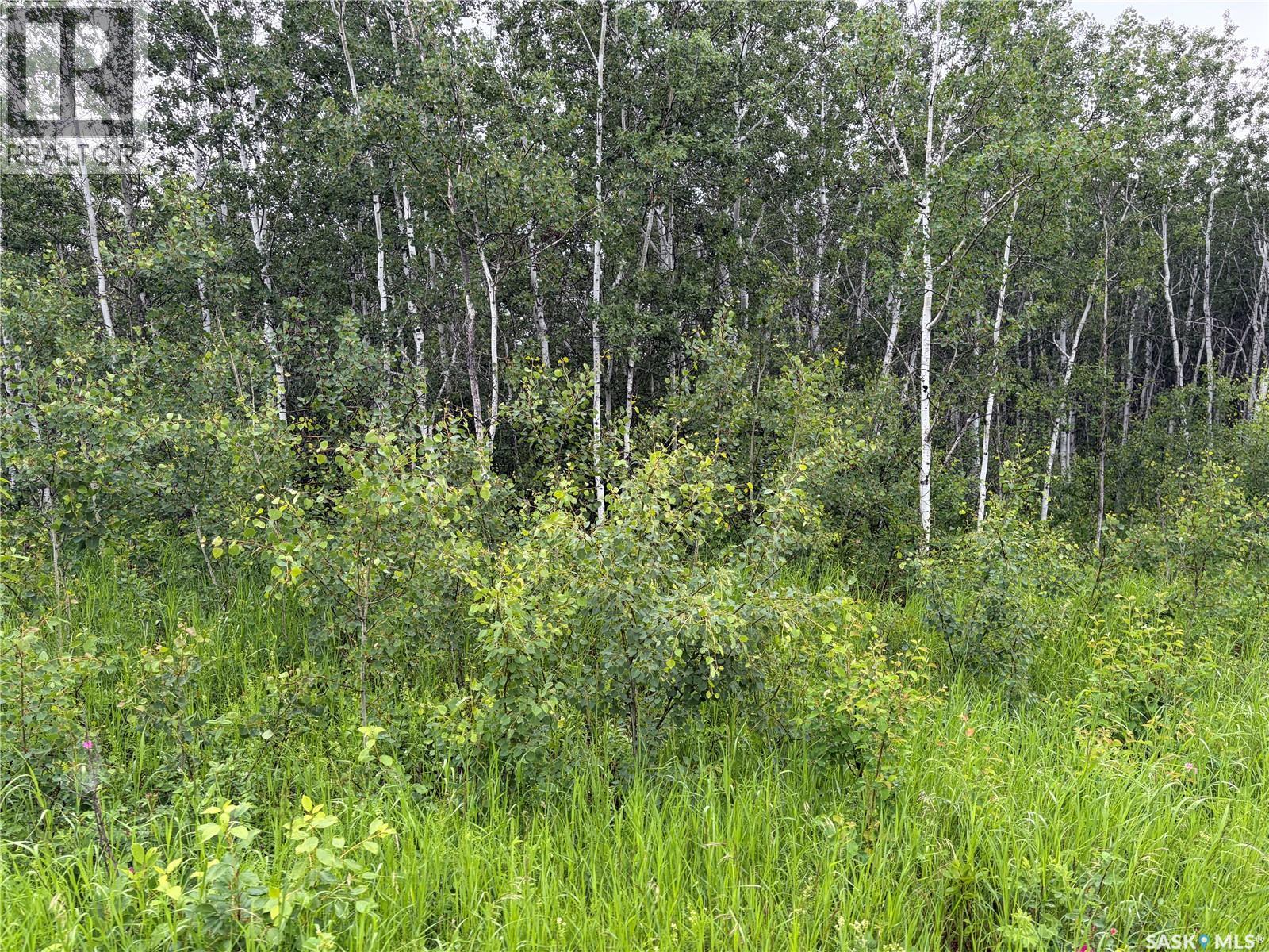 Canwood RM Land - photo 5