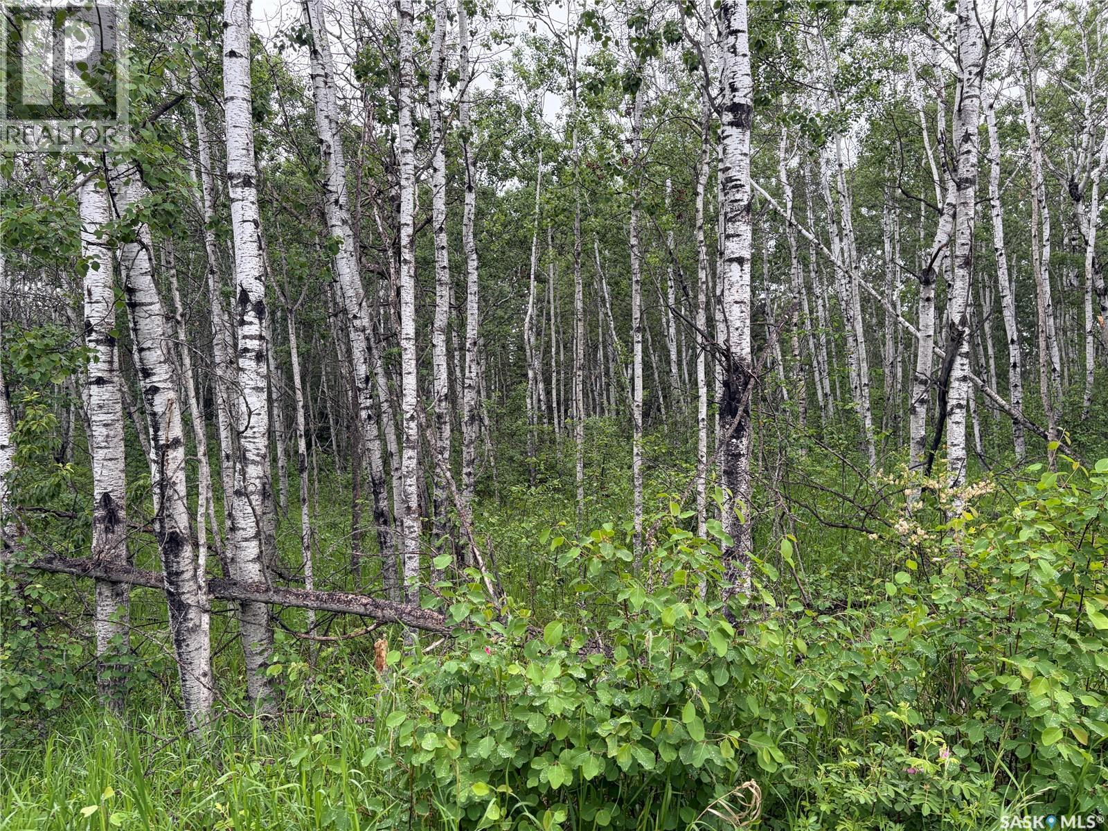 Canwood RM Land — photo 7