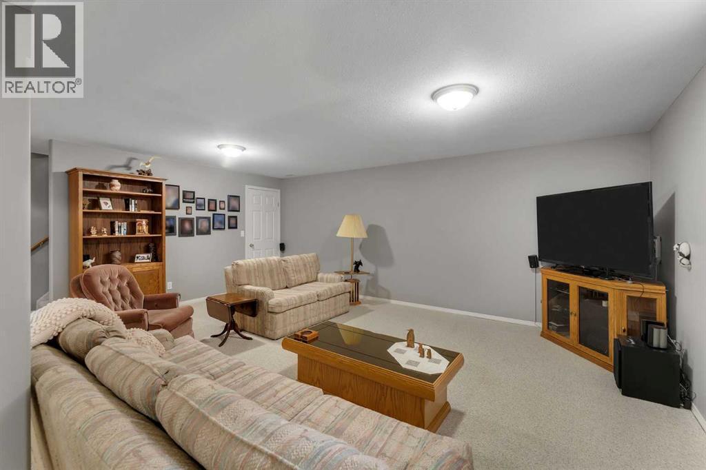 438 Carriage Lane Crossing - 31