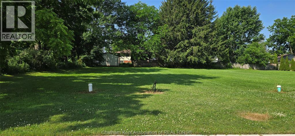 56 Albert AVENUE, Ridgetown — photo 2