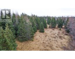 Land Annandale Road, Route 310, Poplar Point, PE C0A1G0 Photo 11