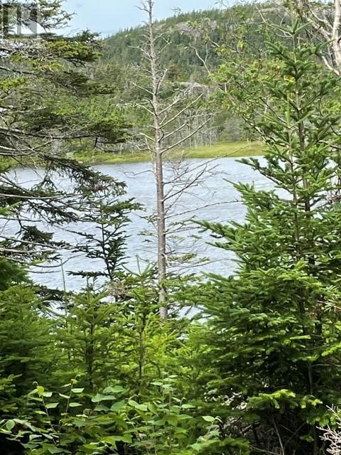 35 Conception Bay Highway thumbnail 3