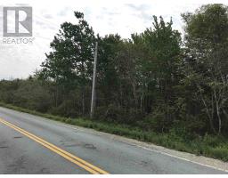53.03 Acres Highway 308 Highway, Belleville, NS B0W3M0 Photo 7