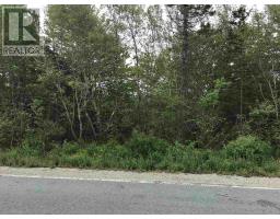 53.03 Acres Highway 308 Highway, Belleville, NS B0W3M0 Photo 8