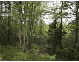 53.03 Acres Highway 308 Highway, Belleville, NS B0W3M0 Photo 6