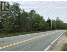 53.03 Acres Highway 308 Highway, Belleville, NS B0W3M0 Photo 9