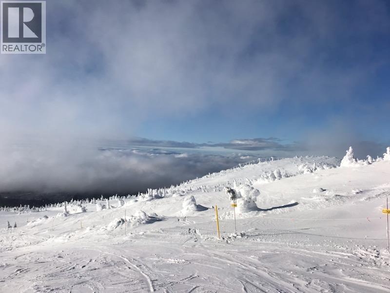 #335 5340 Big White Road - 53