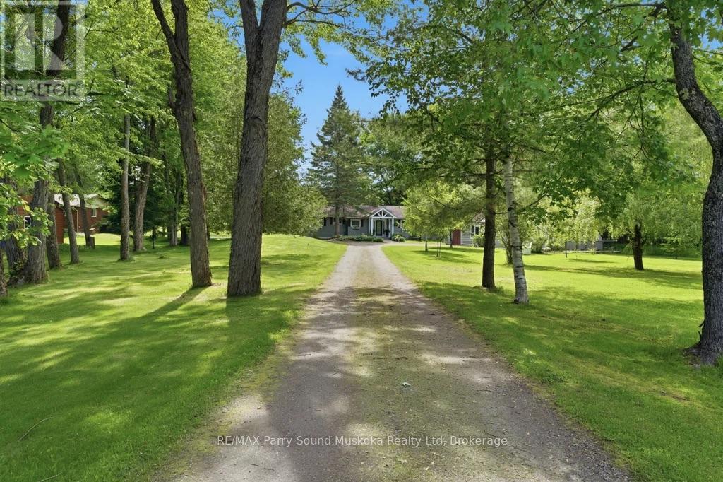 49 MAPLE STREET - 4