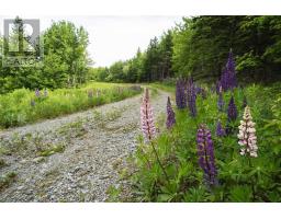 Highway 19, Glenville, NS B0E1N0 Photo 19