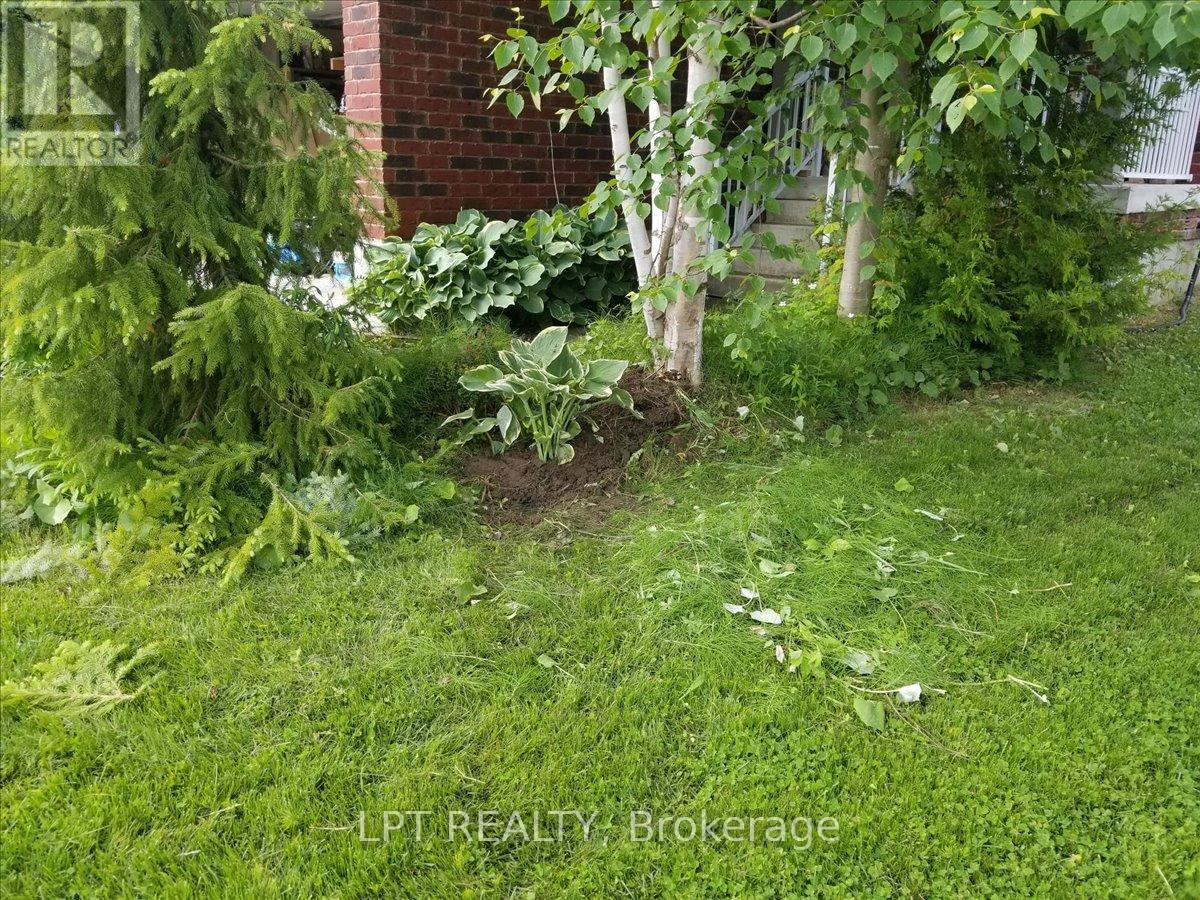 62 WILLIAMS STREET - 44