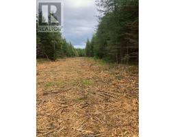 731 Salem Road, Enon, NS B1J1W3 Photo 13