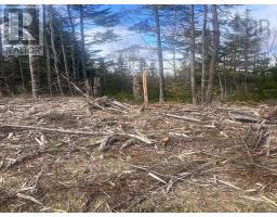 731 Salem Road, Enon, NS B1J1W3 Photo 22