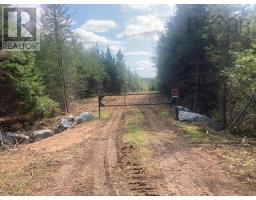 731 Salem Road, Enon, NS B1J1W3 Photo 9
