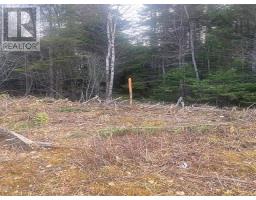 731 Salem Road, Enon, NS B1J1W3 Photo 21
