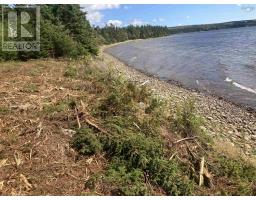 731 Salem Road, Enon, NS B1J1W3 Photo 6