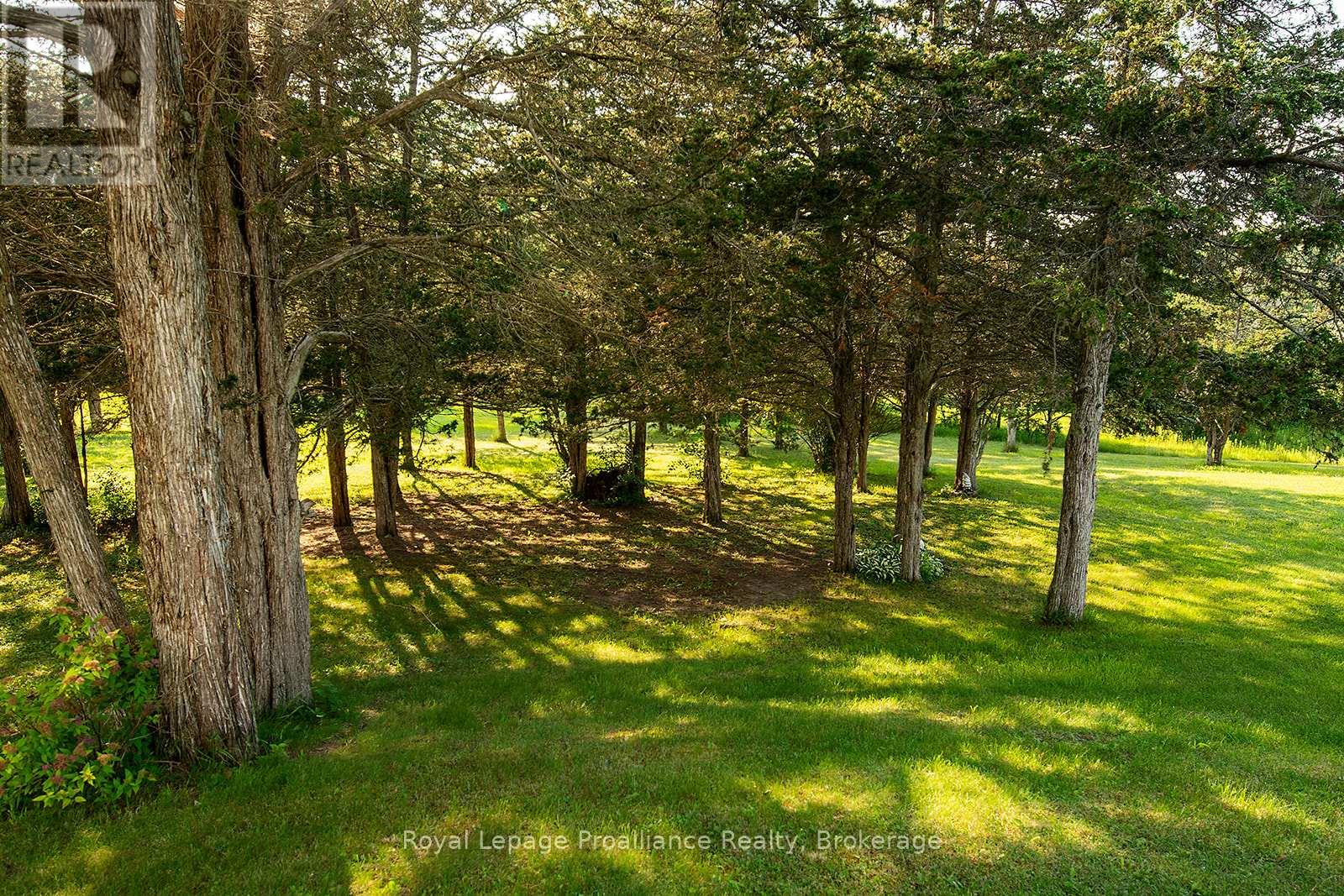 61 SILLS ROAD - 37
