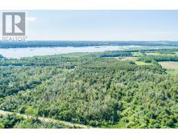 36 Spen Haven Road, Kawartha Lakes, ON K9V0K3 Photo 17
