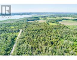 36 Spen Haven Road, Kawartha Lakes, ON K9V0K3 Photo 21